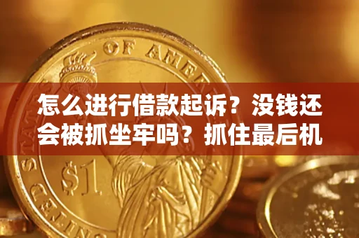 武汉怎么进行借款起诉？没钱还会被抓坐牢吗？抓住最后机会！