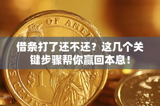 武汉借条打了还不还？这几个关键步骤帮你赢回本息！