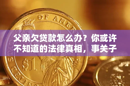 武汉父亲欠贷款怎么办？你或许不知道的法律真相，事关子女未来