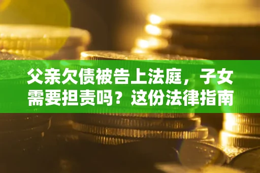 武汉父亲欠债被告上法庭，子女需要担责吗？这份法律指南必须看完
