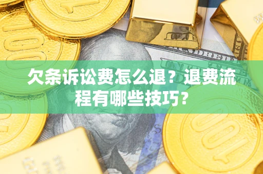 武汉欠条诉讼费怎么退？退费流程有哪些技巧？