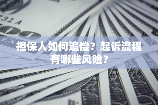 武汉担保人如何追偿？起诉流程有哪些风险？