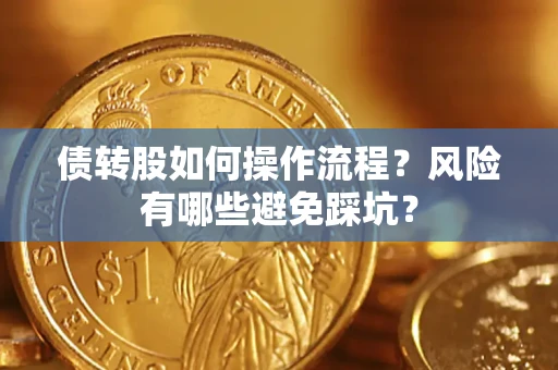 武汉债转股如何操作流程?风险有哪些避免踩坑? 武汉债转股如何操作流程?风险有哪些避免踩坑?